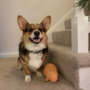 Meet your Posher, Ella